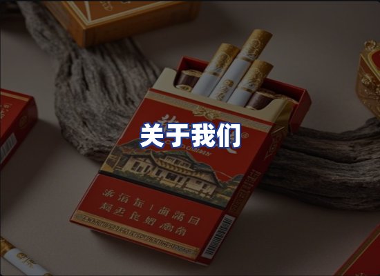 专业团队